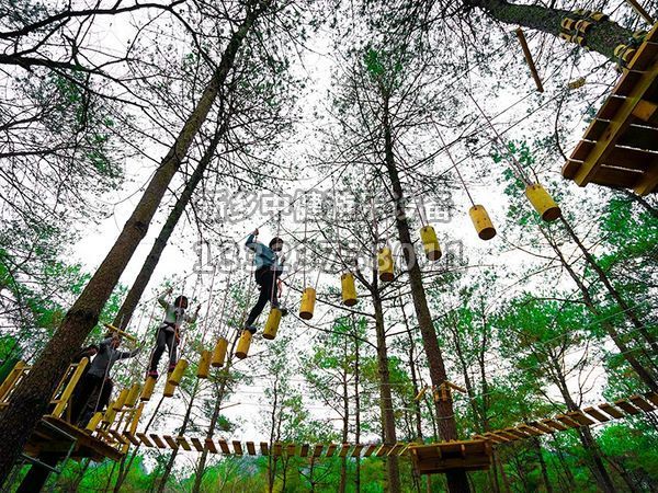 叢林穿越設備的搭建對環境有影響嗎？